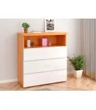 Chest of drawers Regina 3SH 1P order